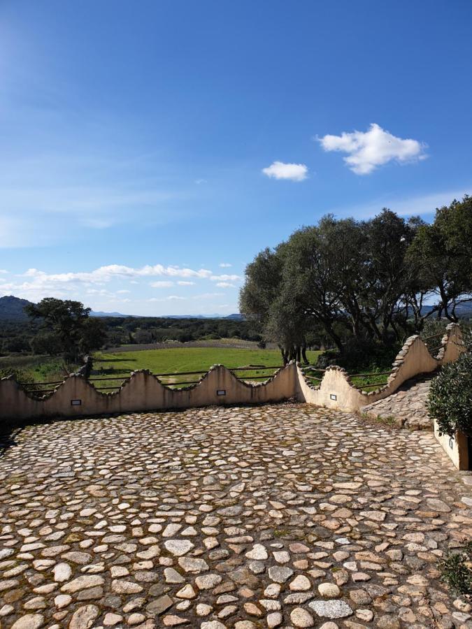 Cantina Perandria Monti Buitenkant foto
