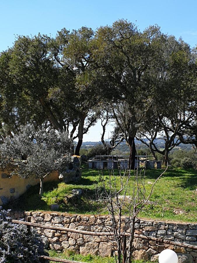 Cantina Perandria Monti Buitenkant foto